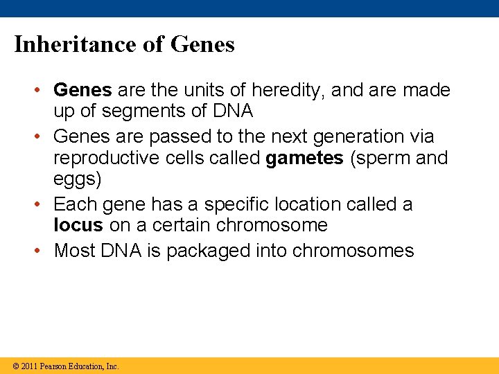 Inheritance of Genes • Genes are the units of heredity, and are made up