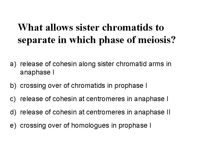 What allows sister chromatids to separate in which phase of meiosis? a) release of