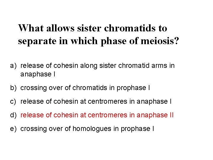 What allows sister chromatids to separate in which phase of meiosis? a) release of