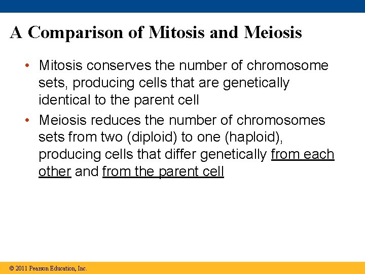 A Comparison of Mitosis and Meiosis • Mitosis conserves the number of chromosome sets,