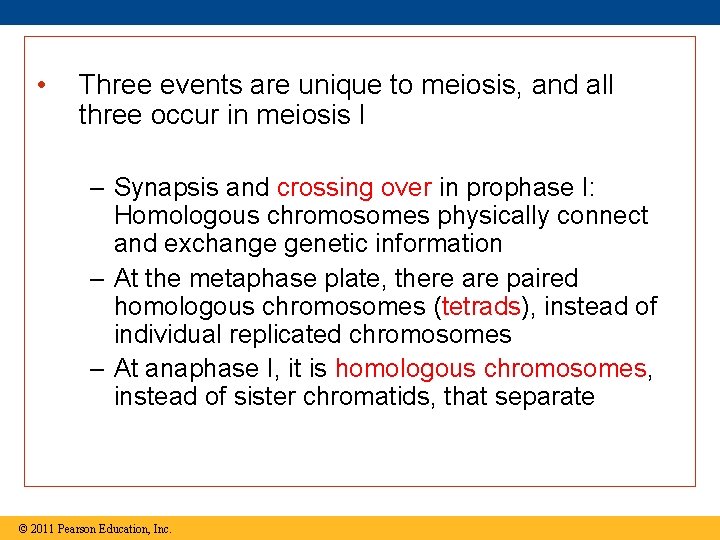  • Three events are unique to meiosis, and all three occur in meiosis