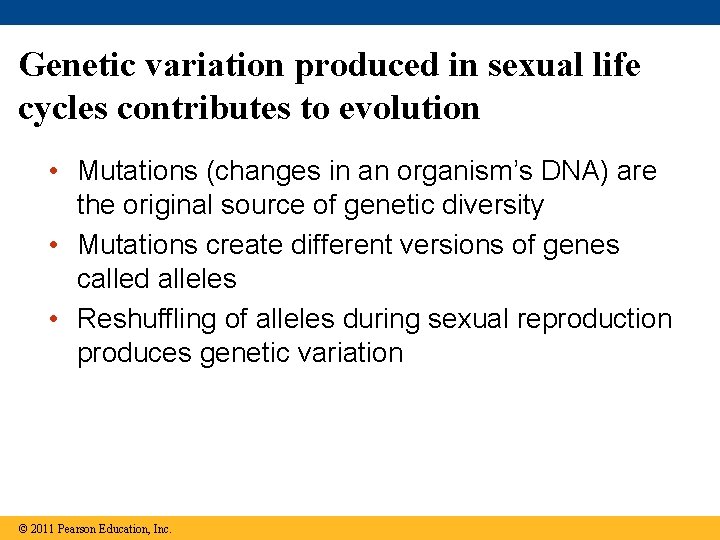 Genetic variation produced in sexual life cycles contributes to evolution • Mutations (changes in