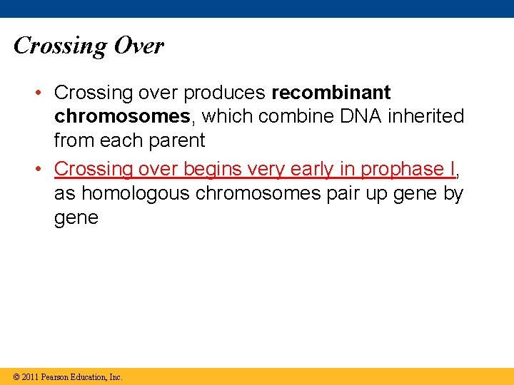 Crossing Over • Crossing over produces recombinant chromosomes, which combine DNA inherited from each