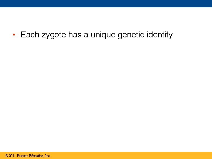  • Each zygote has a unique genetic identity © 2011 Pearson Education, Inc.