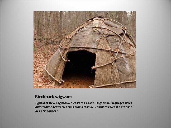 Birchbark wigwam Typical of New England eastern Canada. Algonkian languages don’t differentiate between nouns