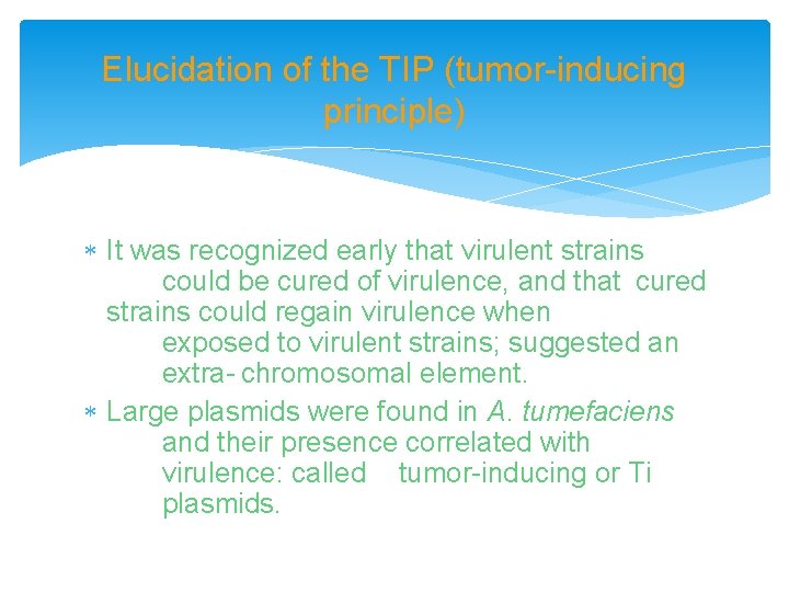 Elucidation of the TIP (tumor-inducing principle) It was recognized early that virulent strains could