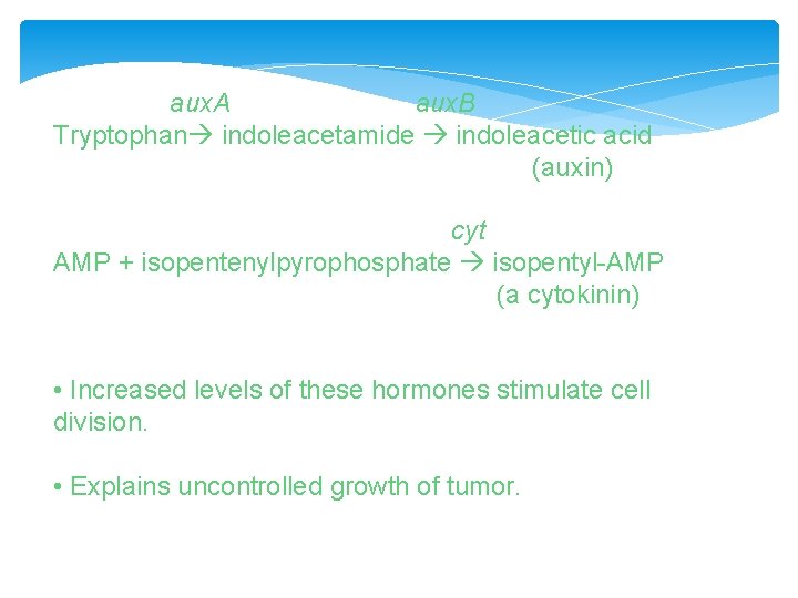 aux. A aux. B Tryptophan indoleacetamide indoleacetic acid (auxin) cyt AMP + isopentenylpyrophosphate isopentyl-AMP