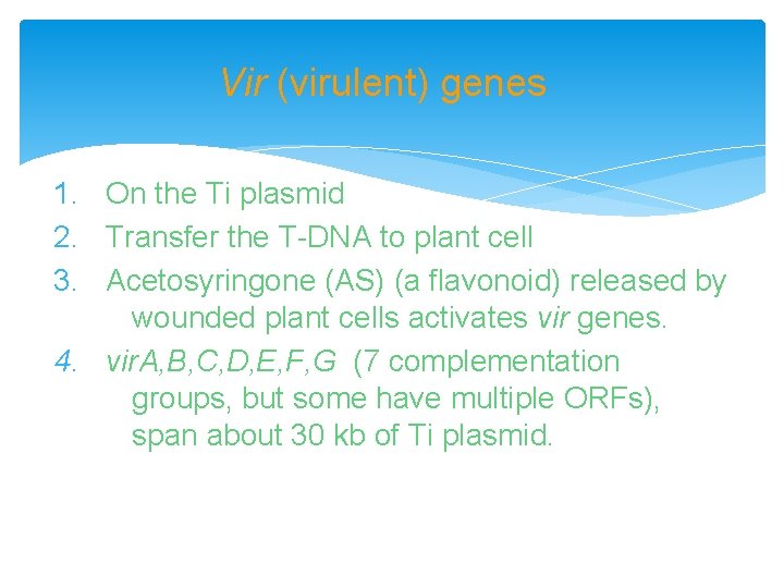 Vir (virulent) genes 1. On the Ti plasmid 2. Transfer the T-DNA to plant