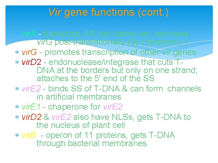 Vir gene functions (cont. ) vir. A - transports AS into bacterium, activates vir.