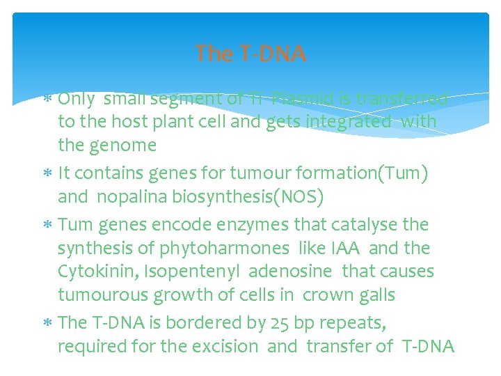 The T-DNA Only small segment of Ti Plasmid is transferred to the host plant