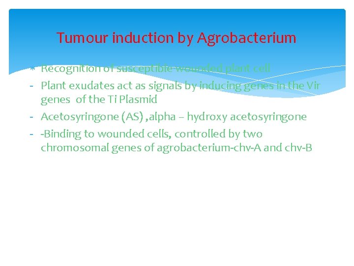 Tumour induction by Agrobacterium Recognition of susceptible wounded plant cell - Plant exudates act