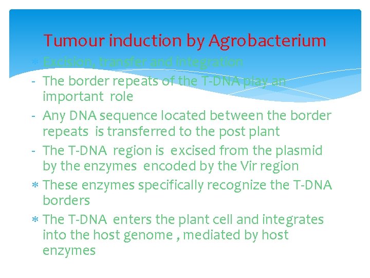 Tumour induction by Agrobacterium Excision, transfer and integration - The border repeats of the