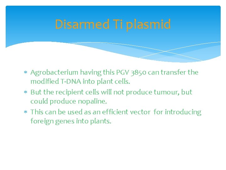 Disarmed Ti plasmid Agrobacterium having this PGV 3850 can transfer the modified T-DNA into
