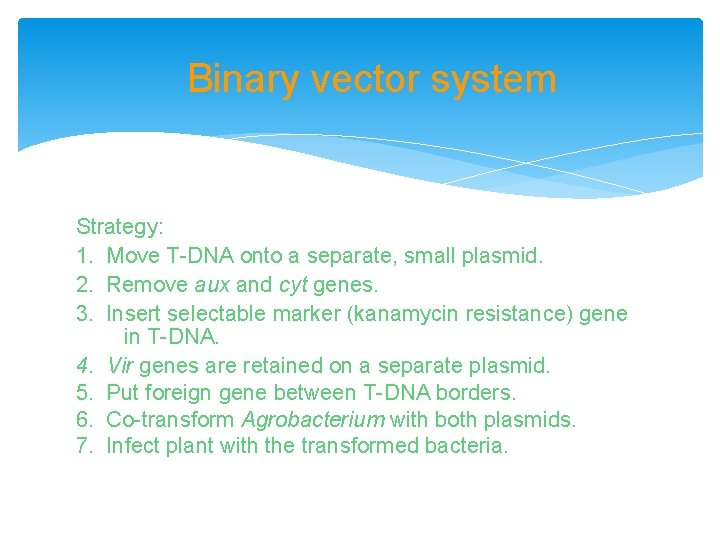 Binary vector system Strategy: 1. Move T-DNA onto a separate, small plasmid. 2. Remove