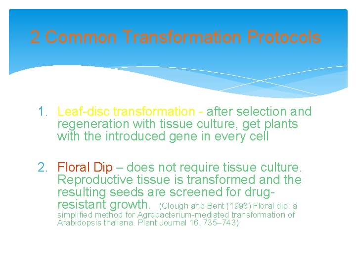 2 Common Transformation Protocols 1. Leaf-disc transformation - after selection and regeneration with tissue