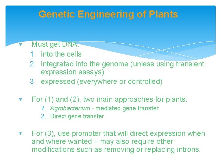 Genetic Engineering of Plants Must get DNA: 1. into the cells 2. integrated into