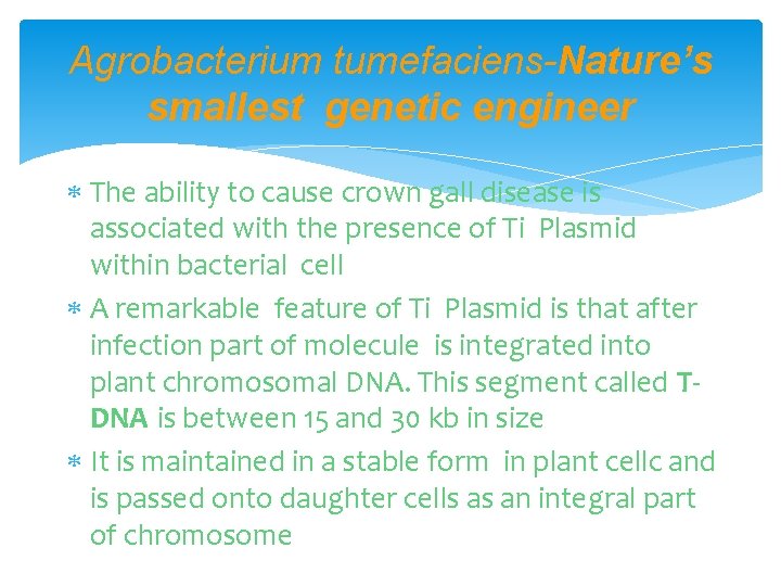 Agrobacterium tumefaciens-Nature’s smallest genetic engineer The ability to cause crown gall disease is associated