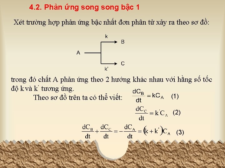 4. 2. Phản ứng song bậc 1 Xét trường hợp phản ứng bậc nhất