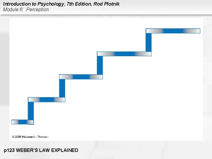 Introduction to Psychology, 7 th Edition, Rod Plotnik Module 6: Perception p 123 WEBER’S