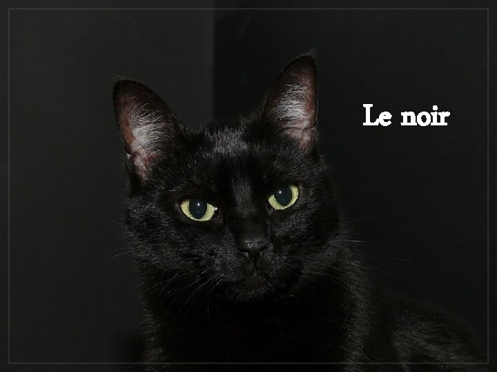 Le noir 