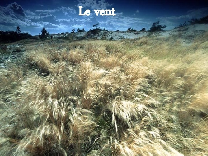 Le vent 