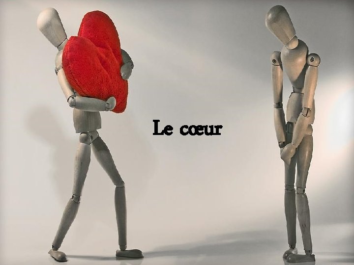 Le cœur 