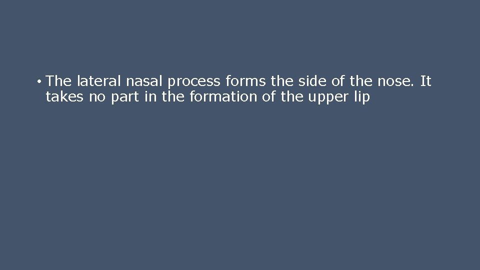  • The lateral nasal process forms the side of the nose. It takes