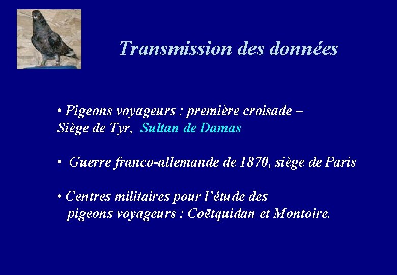 Transmission des données • Pigeons voyageurs : première croisade – Siège de Tyr, Sultan