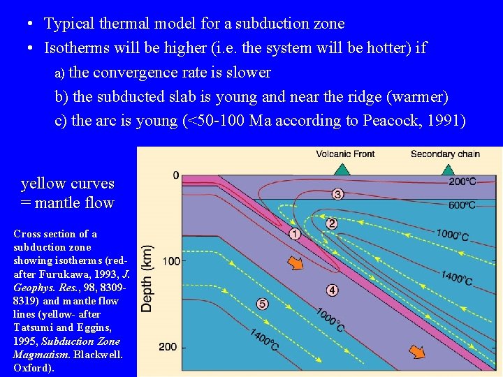  • Typical thermal model for a subduction zone • Isotherms will be higher