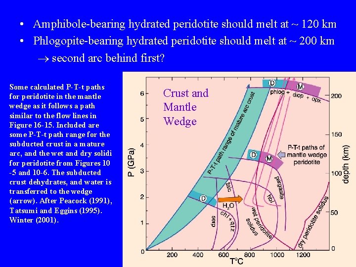  • Amphibole-bearing hydrated peridotite should melt at ~ 120 km • Phlogopite-bearing hydrated