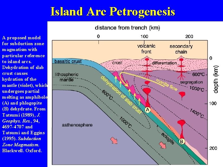 Island Arc Petrogenesis A proposed model for subduction zone magmatism with particular reference to