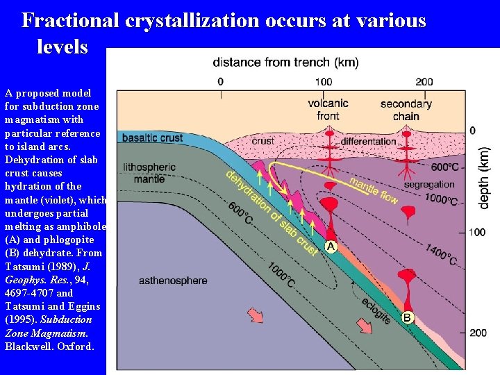 Fractional crystallization occurs at various levels A proposed model for subduction zone magmatism with