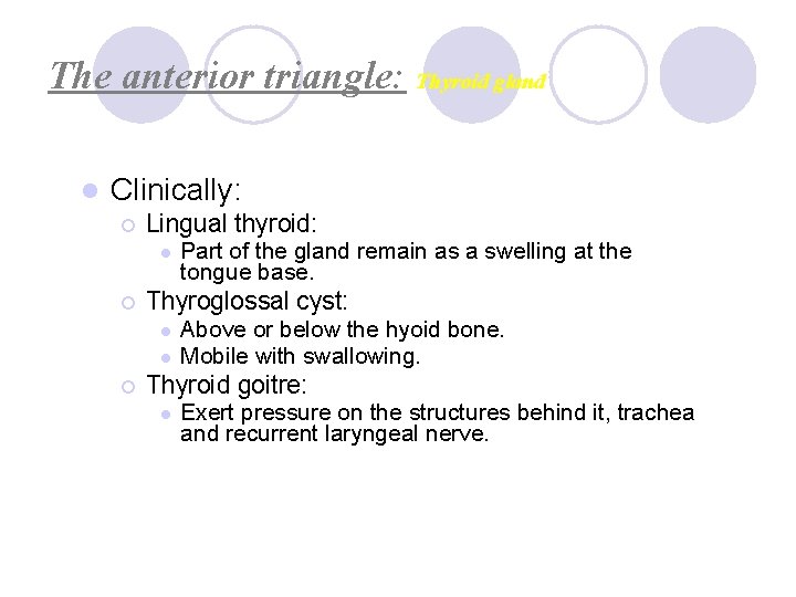 The anterior triangle: Thyroid gland l Clinically: ¡ Lingual thyroid: l ¡ Thyroglossal cyst: