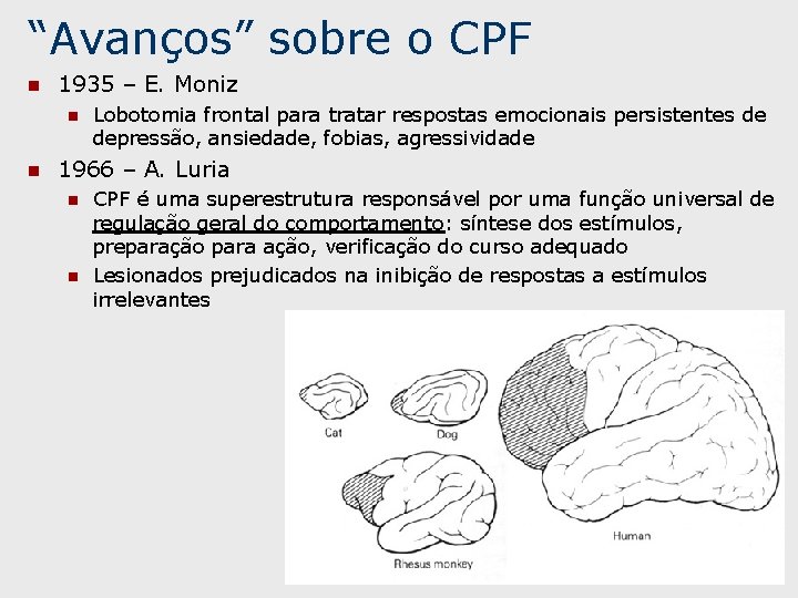 “Avanços” sobre o CPF n 1935 – E. Moniz n n Lobotomia frontal para