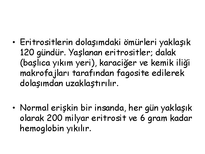  • Eritrositlerin dolaşımdaki ömürleri yaklaşık 120 gündür. Yaşlanan eritrositler; dalak (başlıca yıkım yeri),