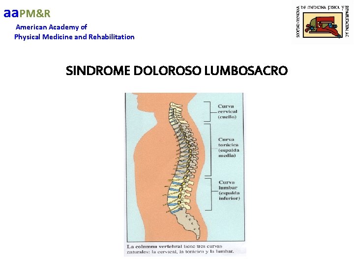 aa. PM&R American Academy of Physical Medicine and Rehabilitation SINDROME DOLOROSO LUMBOSACRO 