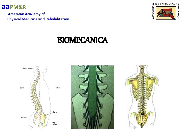 aa. PM&R American Academy of Physical Medicine and Rehabilitation BIOMECANICA 