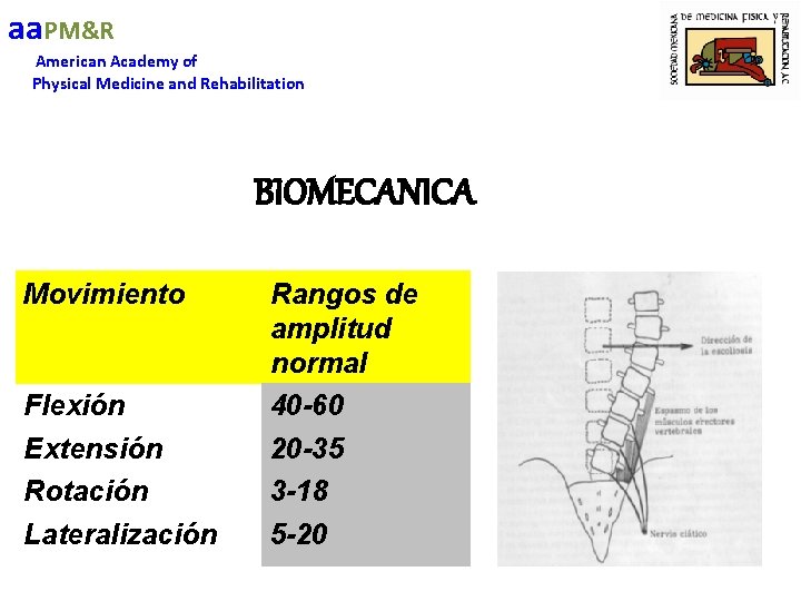 aa. PM&R American Academy of Physical Medicine and Rehabilitation BIOMECANICA Movimiento Flexión Extensión Rotación