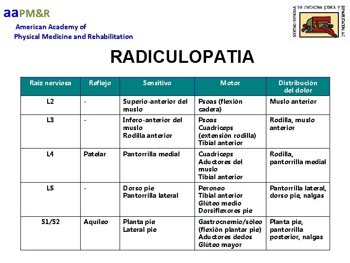 aa. PM&R American Academy of Physical Medicine and Rehabilitation RADICULOPATIA Raíz nerviosa Reflejo Sensitivo