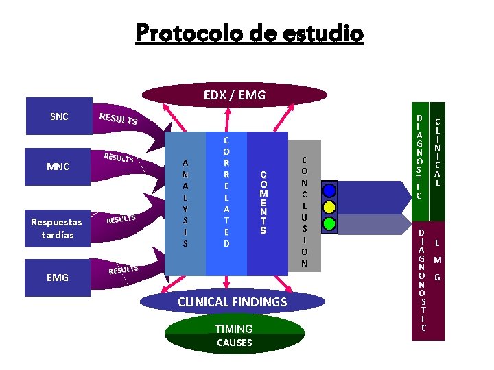 Protocolo de estudio EDX / EMG SNC MNC Respuestas tardías EMG RESUL TS RESULTS