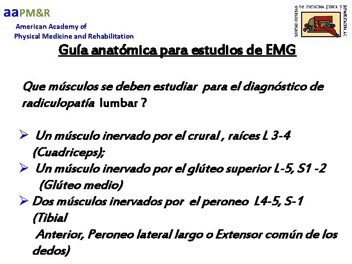 aa. PM&R American Academy of Physical Medicine and Rehabilitation Guía anatómica para estudios de