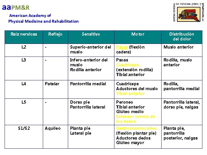 aa. PM&R American Academy of Physical Medicine and Rehabilitation Raíz nerviosa Reflejo Sensitivo Motor