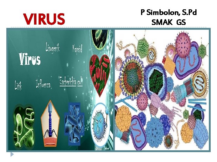 VIRUS P Simbolon, S. Pd SMAK GS 