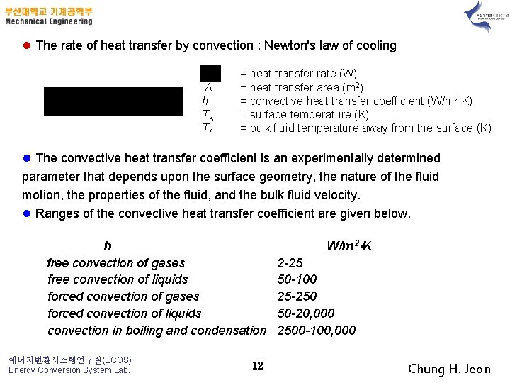 l The rate of heat transfer by convection : Newton's law of cooling A