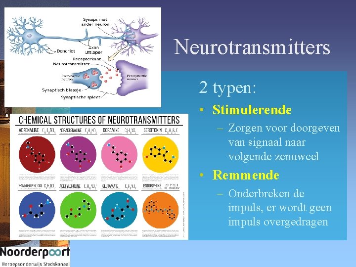 Neurotransmitters 2 typen: • Stimulerende – Zorgen voor doorgeven van signaal naar volgende zenuwcel