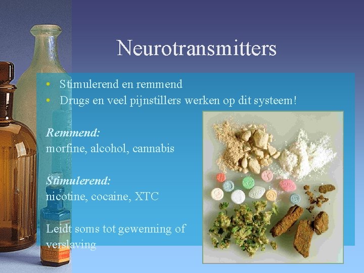 Neurotransmitters • Stimulerend en remmend • Drugs en veel pijnstillers werken op dit systeem!