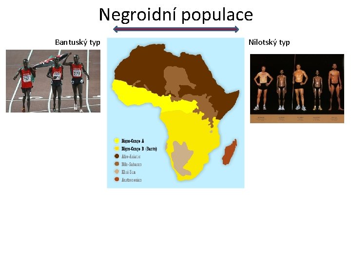 Negroidní populace Bantuský typ Nilotský typ 