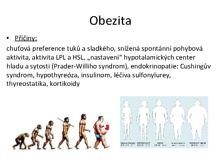 Obezita • Příčiny: chuťová preference tuků a sladkého, snížená spontánní pohybová aktivita, aktivita LPL