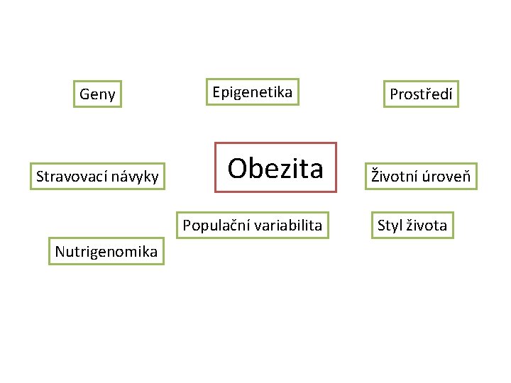 Geny Stravovací návyky Epigenetika Obezita Populační variabilita Nutrigenomika Prostředí Životní úroveň Styl života 