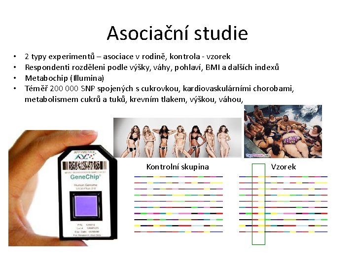 Asociační studie • • 2 typy experimentů – asociace v rodině, kontrola - vzorek